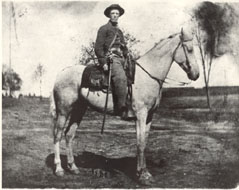 3rd Indiana Cavalry (45th Infantry)